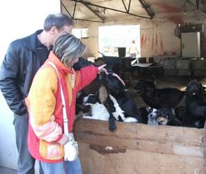 feh�rv�riak 01.jpg